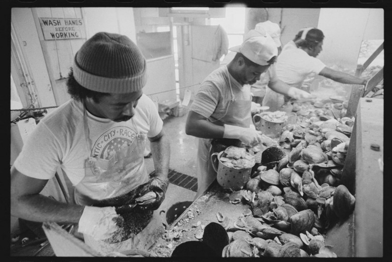 Workers shucking clams in 1983 in Bivalve, New Jersey. The workers were paid piece rate, based on how many clams they shucked.